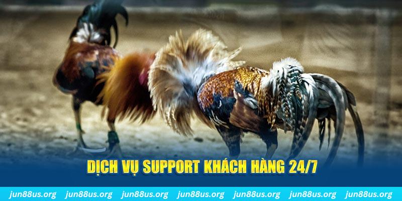 w88 link Xóc Đĩa
