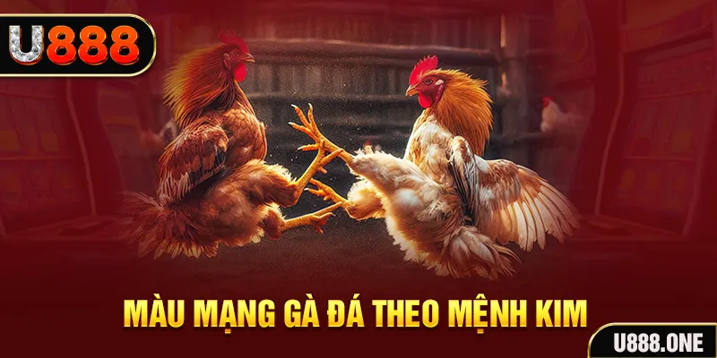 w88 link gà chọi tiêu phong