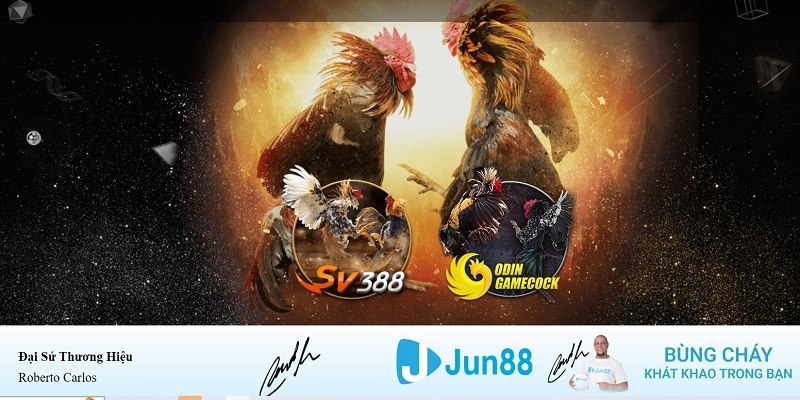 w88 link xổ số miền nam hàng tuần