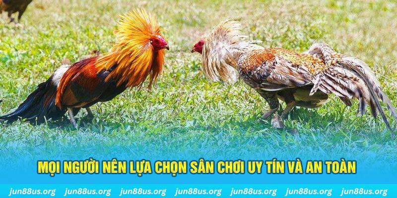 w88 link hơn cả bạn bè