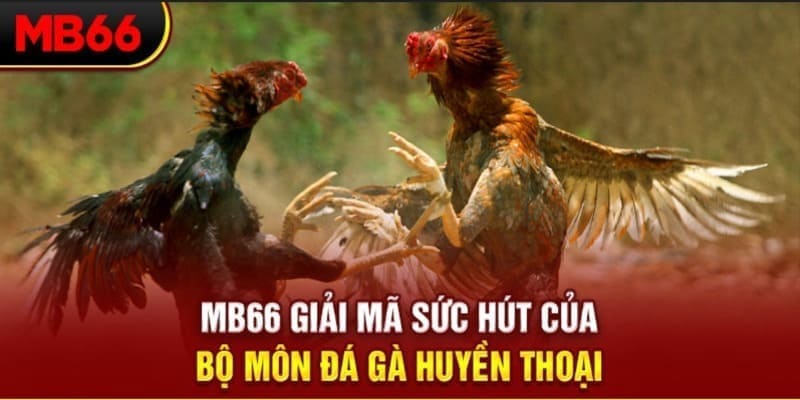 w88 link long bảo trong baccarat là gì