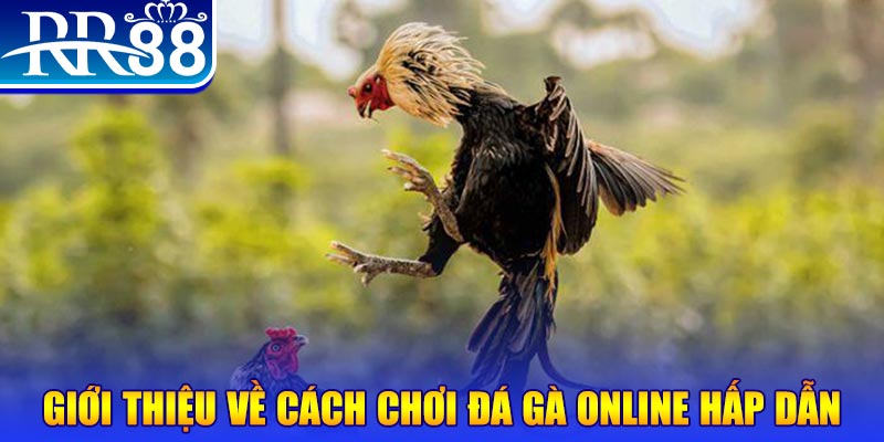 w88 link nổ hũ 2 mặt là gì
