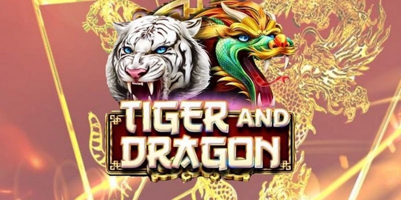 w88 link cá cược tiếng anh là gì