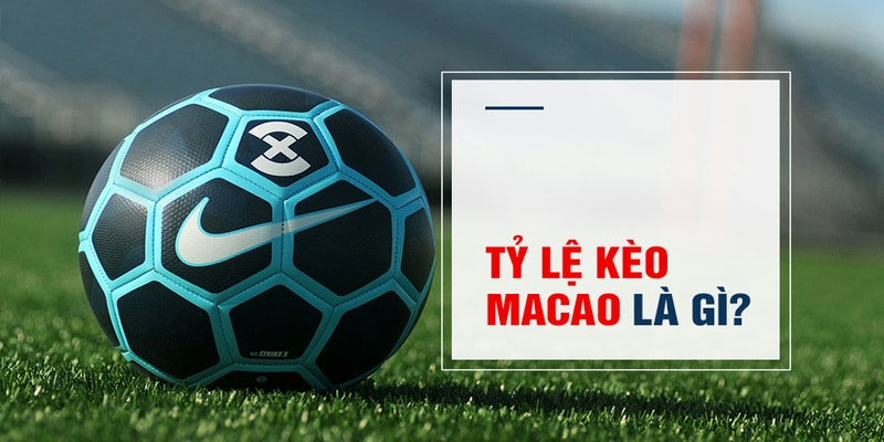w88 link Trăm Knorr