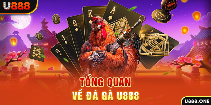 w88 link chạy quảng cáo cho game bài bị phạt như thế nào
